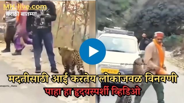 Viral video पाहा हा हृदयस्पर्शी व्हिडिओ