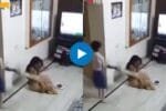 Shocking Viral Video